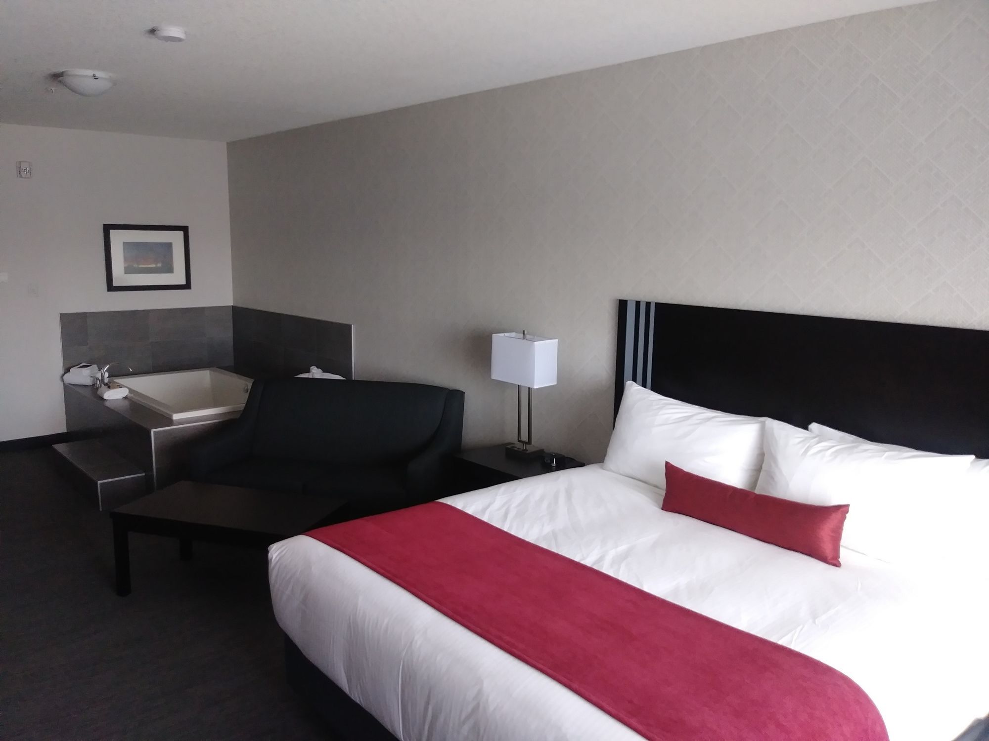 Park Inn By Radisson Edmonton Airport レドゥク エクステリア 写真